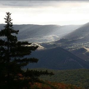 Meet your Posher, Riley